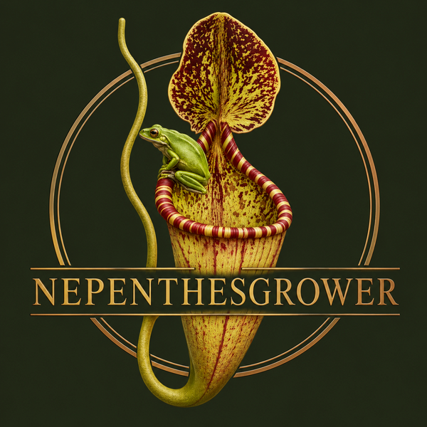 Nepenthesgrower